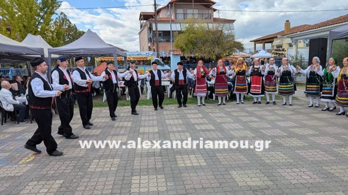 www.alexandriamou.gr_kefaloxori_agiosdimitrios26.10,25PXL_20251026_110530676 www.alexandriamou.gr_kefaloxori_agiosdimitrios26.10,25PXL_20251026_110530676