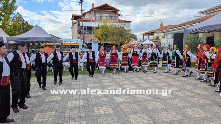 www.alexandriamou.gr_kefaloxori_agiosdimitrios26.10,25PXL_20251026_110532544 www.alexandriamou.gr_kefaloxori_agiosdimitrios26.10,25PXL_20251026_110532544