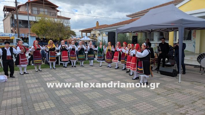 www.alexandriamou.gr_kefaloxori_agiosdimitrios26.10,25PXL_20251026_110534385 www.alexandriamou.gr_kefaloxori_agiosdimitrios26.10,25PXL_20251026_110534385