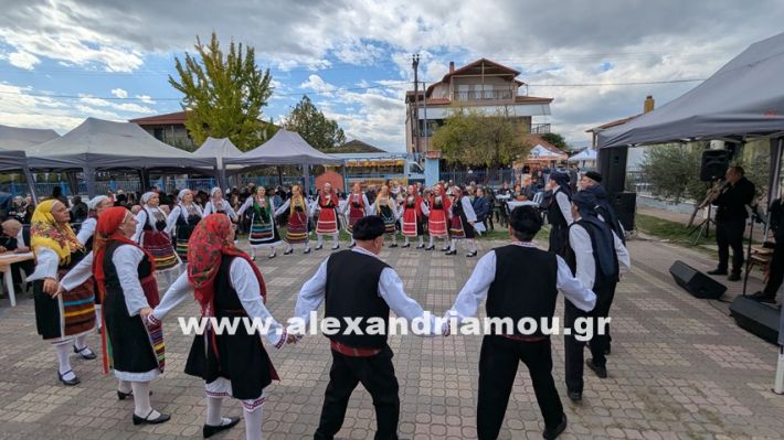 www.alexandriamou.gr_kefaloxori_agiosdimitrios26.10,25PXL_20251026_110552838.MP www.alexandriamou.gr_kefaloxori_agiosdimitrios26.10,25PXL_20251026_110552838.MP