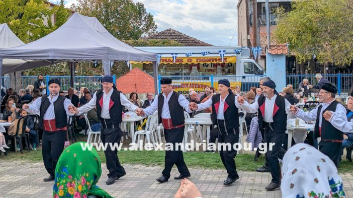 www.alexandriamou.gr_kefaloxori_agiosdimitrios26.10,25PXL_20251026_110609024 www.alexandriamou.gr_kefaloxori_agiosdimitrios26.10,25PXL_20251026_110609024