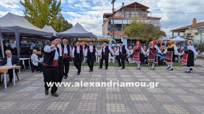 www.alexandriamou.gr_kefaloxori_agiosdimitrios26.10,25PXL_20251026_110731386 www.alexandriamou.gr_kefaloxori_agiosdimitrios26.10,25PXL_20251026_110731386