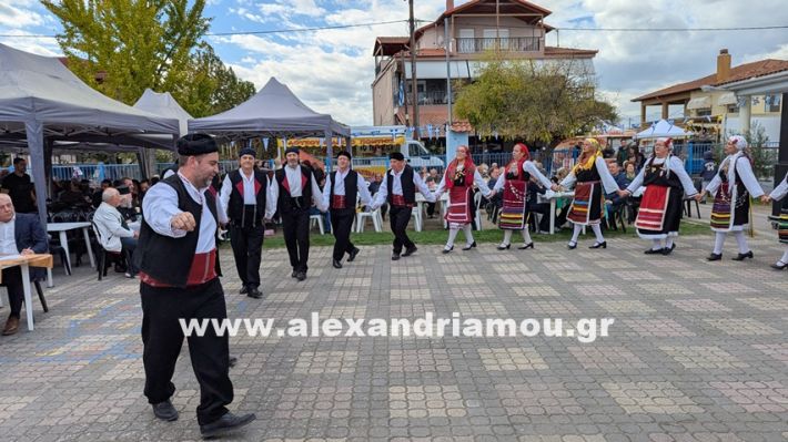 www.alexandriamou.gr_kefaloxori_agiosdimitrios26.10,25PXL_20251026_110732406 www.alexandriamou.gr_kefaloxori_agiosdimitrios26.10,25PXL_20251026_110732406