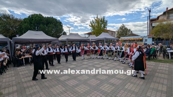 www.alexandriamou.gr_kefaloxori_agiosdimitrios26.10,25PXL_20251026_110957522 www.alexandriamou.gr_kefaloxori_agiosdimitrios26.10,25PXL_20251026_110957522