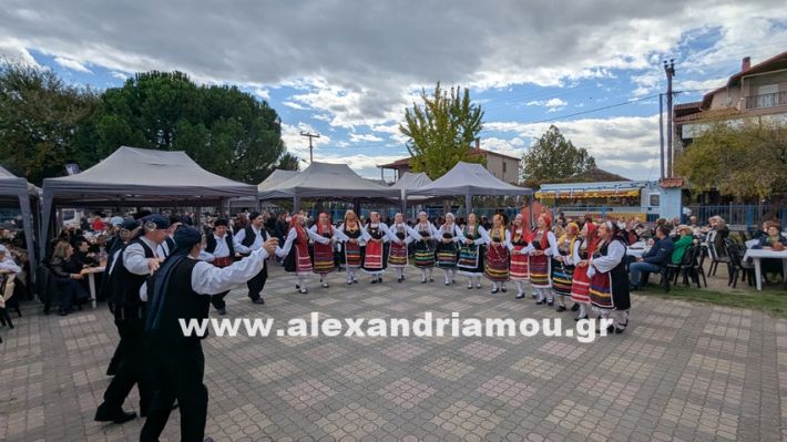 www.alexandriamou.gr_kefaloxori_agiosdimitrios26.10,25PXL_20251026_111001056.MP www.alexandriamou.gr_kefaloxori_agiosdimitrios26.10,25PXL_20251026_111001056.MP