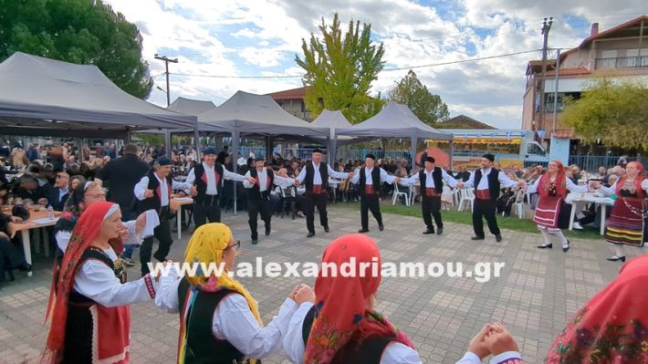 www.alexandriamou.gr_kefaloxori_agiosdimitrios26.10,25PXL_20251026_111417801 www.alexandriamou.gr_kefaloxori_agiosdimitrios26.10,25PXL_20251026_111417801