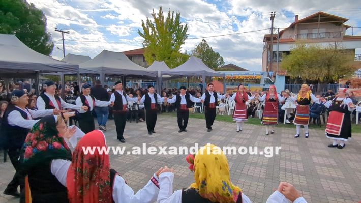 www.alexandriamou.gr_kefaloxori_agiosdimitrios26.10,25PXL_20251026_111419923 www.alexandriamou.gr_kefaloxori_agiosdimitrios26.10,25PXL_20251026_111419923