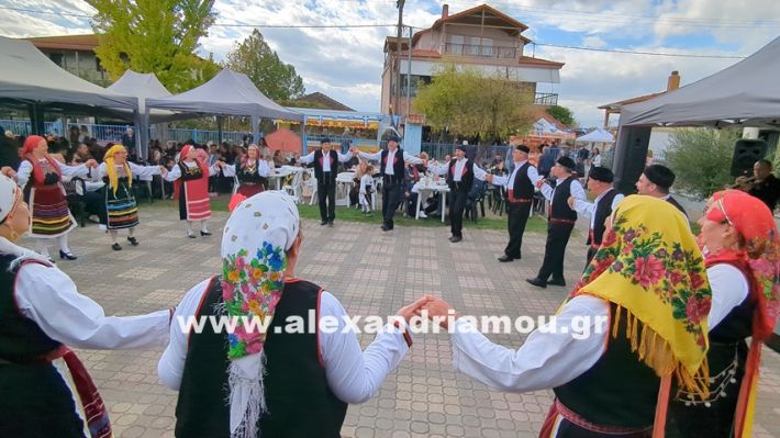 www.alexandriamou.gr_kefaloxori_agiosdimitrios26.10,25PXL_20251026_111503906 www.alexandriamou.gr_kefaloxori_agiosdimitrios26.10,25PXL_20251026_111503906