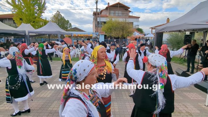 www.alexandriamou.gr_kefaloxori_agiosdimitrios26.10,25PXL_20251026_111509072 www.alexandriamou.gr_kefaloxori_agiosdimitrios26.10,25PXL_20251026_111509072