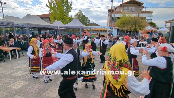 www.alexandriamou.gr_kefaloxori_agiosdimitrios26.10,25PXL_20251026_111511068 www.alexandriamou.gr_kefaloxori_agiosdimitrios26.10,25PXL_20251026_111511068