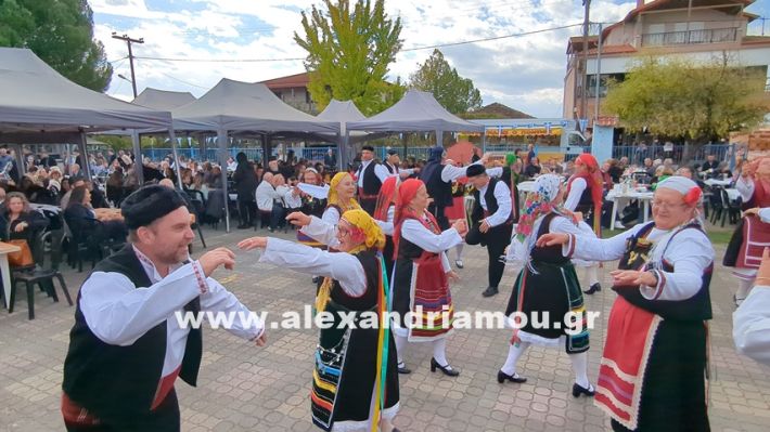 www.alexandriamou.gr_kefaloxori_agiosdimitrios26.10,25PXL_20251026_111513074 www.alexandriamou.gr_kefaloxori_agiosdimitrios26.10,25PXL_20251026_111513074