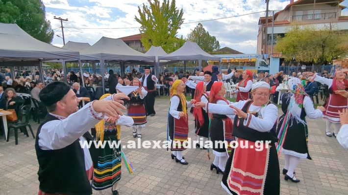 www.alexandriamou.gr_kefaloxori_agiosdimitrios26.10,25PXL_20251026_111514199 www.alexandriamou.gr_kefaloxori_agiosdimitrios26.10,25PXL_20251026_111514199
