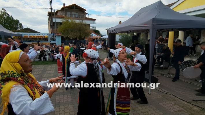 www.alexandriamou.gr_kefaloxori_agiosdimitrios26.10,25PXL_20251026_111519531 www.alexandriamou.gr_kefaloxori_agiosdimitrios26.10,25PXL_20251026_111519531