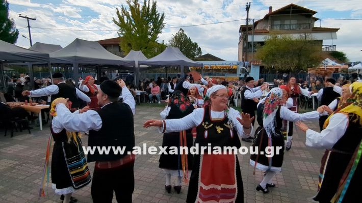 www.alexandriamou.gr_kefaloxori_agiosdimitrios26.10,25PXL_20251026_111524795 www.alexandriamou.gr_kefaloxori_agiosdimitrios26.10,25PXL_20251026_111524795