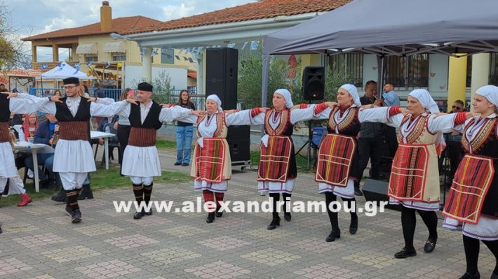 www.alexandriamou.gr_kefaloxori_agiosdimitrios26.10,25PXL_20251026_112148500 www.alexandriamou.gr_kefaloxori_agiosdimitrios26.10,25PXL_20251026_112148500