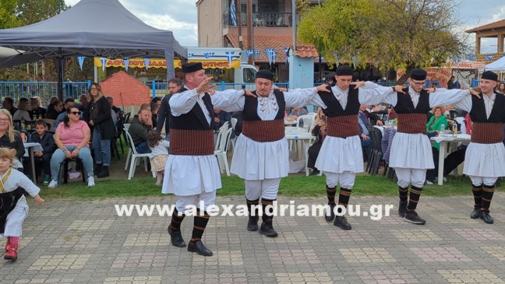 www.alexandriamou.gr_kefaloxori_agiosdimitrios26.10,25PXL_20251026_112158771 www.alexandriamou.gr_kefaloxori_agiosdimitrios26.10,25PXL_20251026_112158771