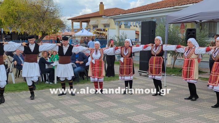 www.alexandriamou.gr_kefaloxori_agiosdimitrios26.10,25PXL_20251026_112210242 www.alexandriamou.gr_kefaloxori_agiosdimitrios26.10,25PXL_20251026_112210242