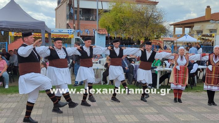 www.alexandriamou.gr_kefaloxori_agiosdimitrios26.10,25PXL_20251026_112224247 www.alexandriamou.gr_kefaloxori_agiosdimitrios26.10,25PXL_20251026_112224247
