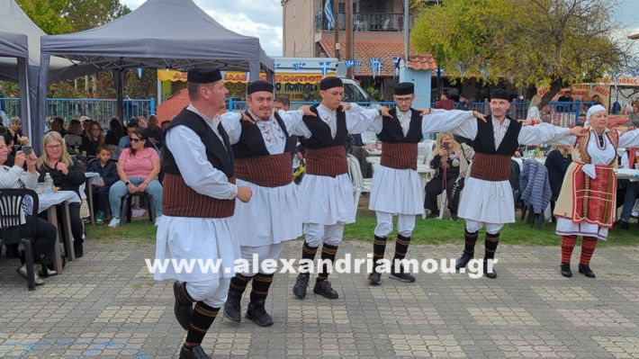 www.alexandriamou.gr_kefaloxori_agiosdimitrios26.10,25PXL_20251026_112230314 www.alexandriamou.gr_kefaloxori_agiosdimitrios26.10,25PXL_20251026_112230314