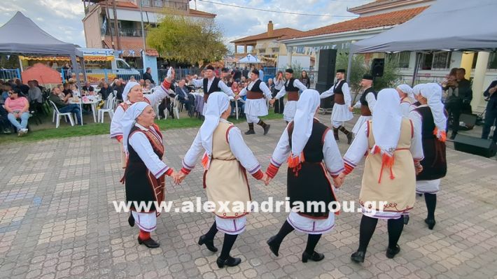 www.alexandriamou.gr_kefaloxori_agiosdimitrios26.10,25PXL_20251026_112323534 www.alexandriamou.gr_kefaloxori_agiosdimitrios26.10,25PXL_20251026_112323534