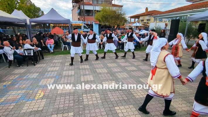 www.alexandriamou.gr_kefaloxori_agiosdimitrios26.10,25PXL_20251026_112328430 www.alexandriamou.gr_kefaloxori_agiosdimitrios26.10,25PXL_20251026_112328430