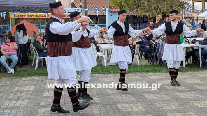 www.alexandriamou.gr_kefaloxori_agiosdimitrios26.10,25PXL_20251026_112514365 www.alexandriamou.gr_kefaloxori_agiosdimitrios26.10,25PXL_20251026_112514365