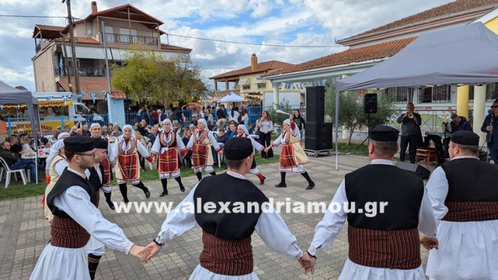 www.alexandriamou.gr_kefaloxori_agiosdimitrios26.10,25PXL_20251026_112714477 www.alexandriamou.gr_kefaloxori_agiosdimitrios26.10,25PXL_20251026_112714477