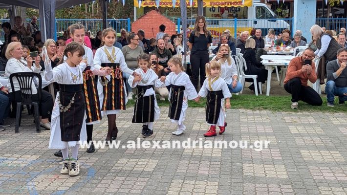 www.alexandriamou.gr_kefaloxori_agiosdimitrios26.10,25PXL_20251026_113354473.PORTRAIT.ORIGINAL www.alexandriamou.gr_kefaloxori_agiosdimitrios26.10,25PXL_20251026_113354473.PORTRAIT.ORIGINAL