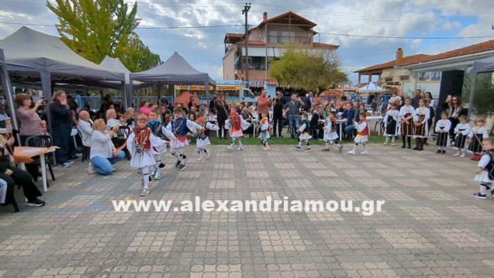 www.alexandriamou.gr_kefaloxori_agiosdimitrios26.10,25PXL_20251026_113522051 www.alexandriamou.gr_kefaloxori_agiosdimitrios26.10,25PXL_20251026_113522051