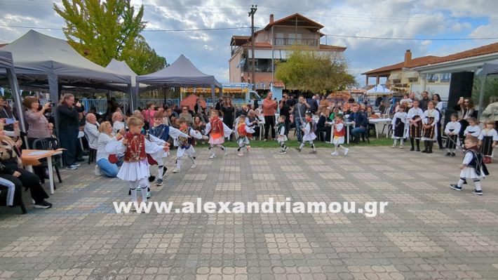 www.alexandriamou.gr_kefaloxori_agiosdimitrios26.10,25PXL_20251026_113522820 www.alexandriamou.gr_kefaloxori_agiosdimitrios26.10,25PXL_20251026_113522820