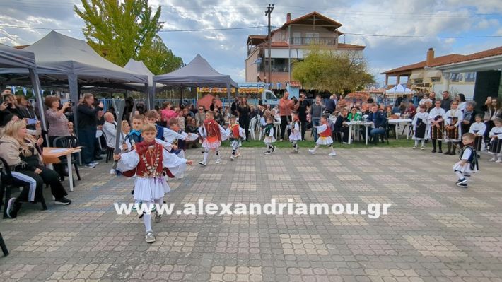 www.alexandriamou.gr_kefaloxori_agiosdimitrios26.10,25PXL_20251026_113523616 www.alexandriamou.gr_kefaloxori_agiosdimitrios26.10,25PXL_20251026_113523616