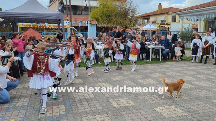 www.alexandriamou.gr_kefaloxori_agiosdimitrios26.10,25PXL_20251026_113735562 www.alexandriamou.gr_kefaloxori_agiosdimitrios26.10,25PXL_20251026_113735562