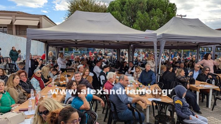 www.alexandriamou.gr_kefaloxori_agiosdimitrios26.10,25PXL_20251026_114111208 www.alexandriamou.gr_kefaloxori_agiosdimitrios26.10,25PXL_20251026_114111208