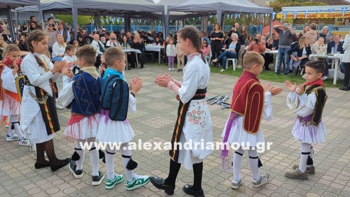 www.alexandriamou.gr_kefaloxori_agiosdimitrios26.10,25PXL_20251026_114259392 www.alexandriamou.gr_kefaloxori_agiosdimitrios26.10,25PXL_20251026_114259392