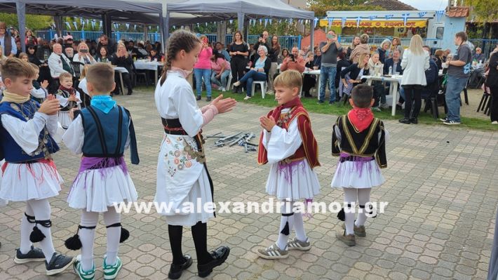 www.alexandriamou.gr_kefaloxori_agiosdimitrios26.10,25PXL_20251026_114300989 www.alexandriamou.gr_kefaloxori_agiosdimitrios26.10,25PXL_20251026_114300989