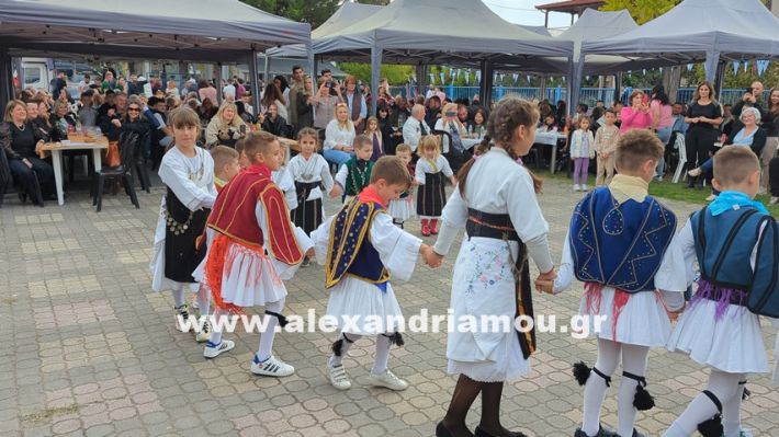 www.alexandriamou.gr_kefaloxori_agiosdimitrios26.10,25PXL_20251026_114304462 www.alexandriamou.gr_kefaloxori_agiosdimitrios26.10,25PXL_20251026_114304462