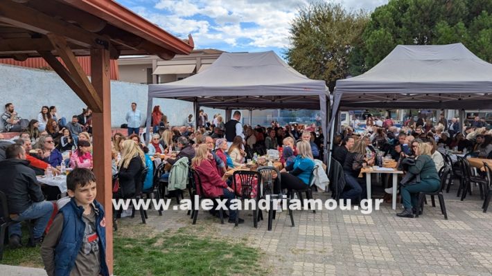 www.alexandriamou.gr_kefaloxori_agiosdimitrios26.10,25PXL_20251026_114933455 www.alexandriamou.gr_kefaloxori_agiosdimitrios26.10,25PXL_20251026_114933455