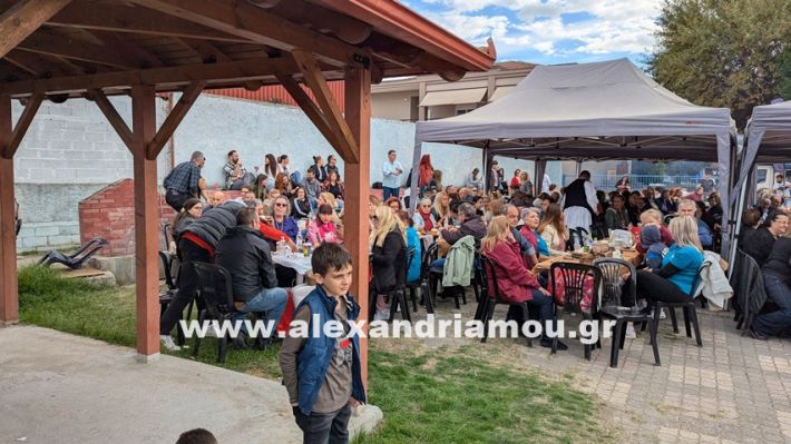 www.alexandriamou.gr_kefaloxori_agiosdimitrios26.10,25PXL_20251026_114935090 www.alexandriamou.gr_kefaloxori_agiosdimitrios26.10,25PXL_20251026_114935090