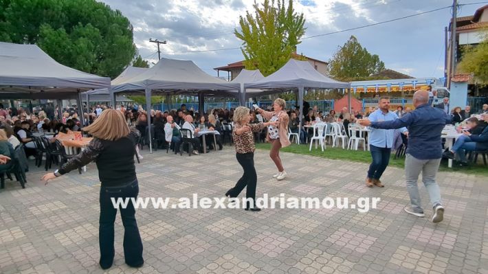 www.alexandriamou.gr_kefaloxori_agiosdimitrios26.10,25PXL_20251026_115124757 www.alexandriamou.gr_kefaloxori_agiosdimitrios26.10,25PXL_20251026_115124757