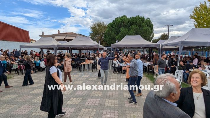 www.alexandriamou.gr_kefaloxori_agiosdimitrios26.10,25PXL_20251026_115323601 www.alexandriamou.gr_kefaloxori_agiosdimitrios26.10,25PXL_20251026_115323601