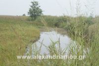alexandriamou_kitoudhs0049