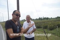 alexandriamou_kitoudhs0057