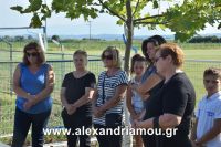 alexandriamou_kleidi13.08.160010