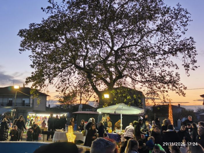 6640d470-bb17-4d19-825d-dbbae9553b08