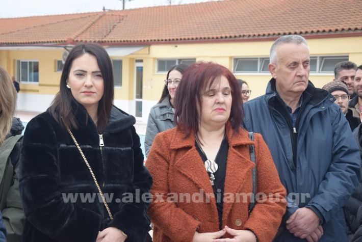 www.alexandriamou.gr_fotakolimvitiroiopDSC_0018