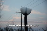 alexandriamou_kolumvitirio120006