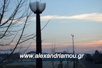 alexandriamou_kolumvitirio120007