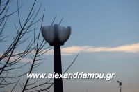 alexandriamou_kolumvitirio120008