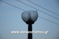alexandriamou_kolumvitirio120015