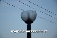 alexandriamou_kolumvitirio120015